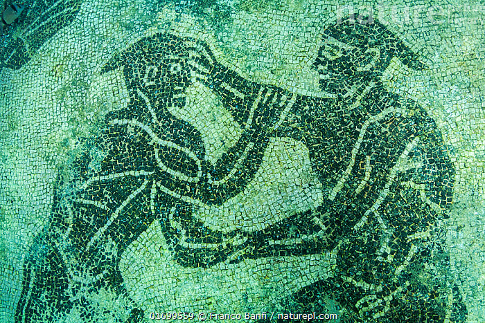 Why Wrestling Is Called the World’s Oldest Sport (And Why It Still Matters Today)