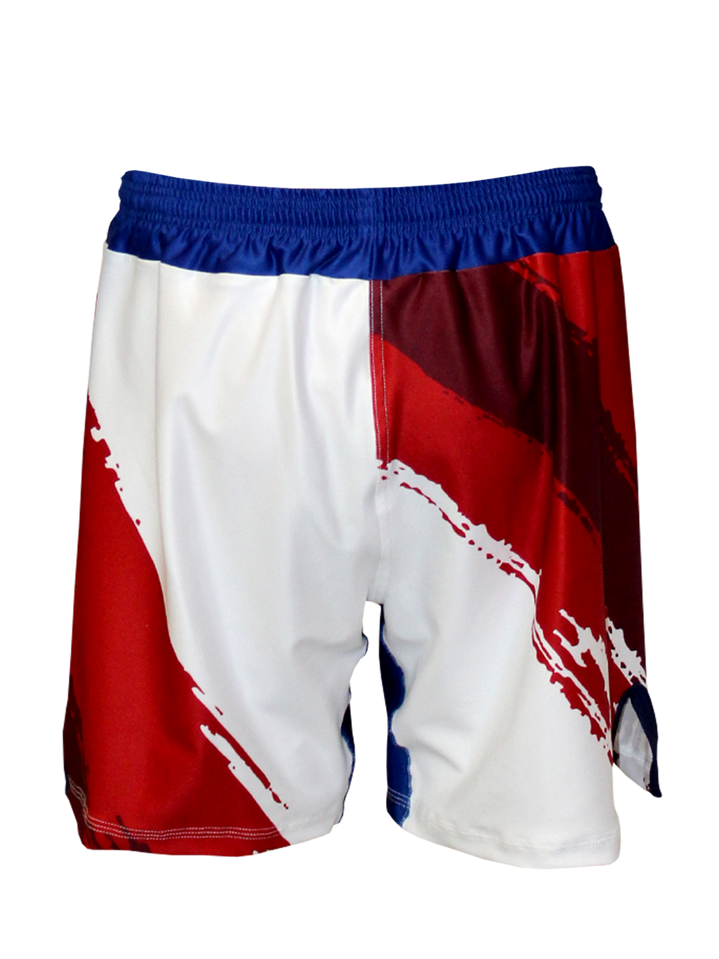 The U.S.A. Pledge Fight Shorts