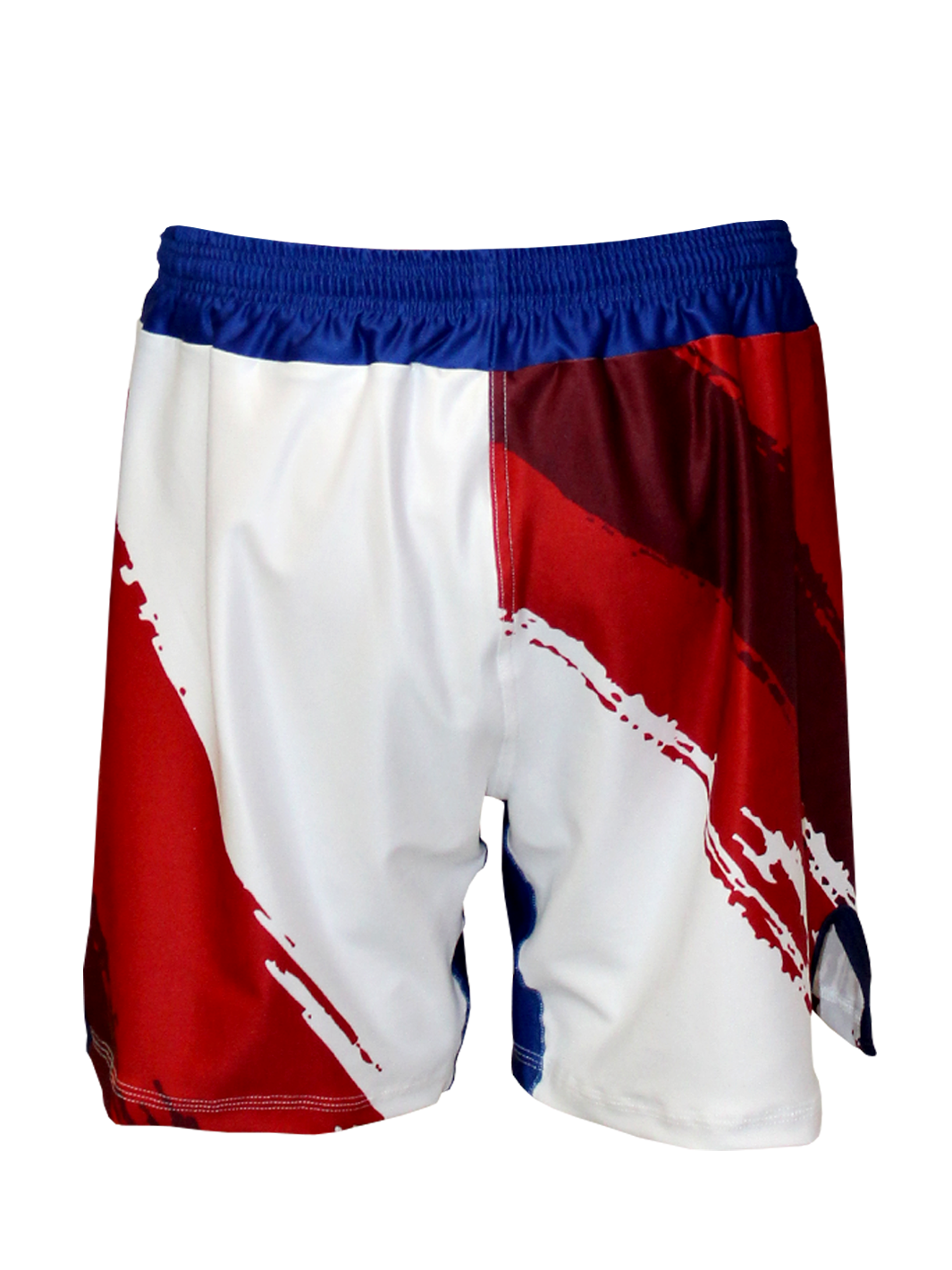 The U.S.A. Pledge Fight Shorts
