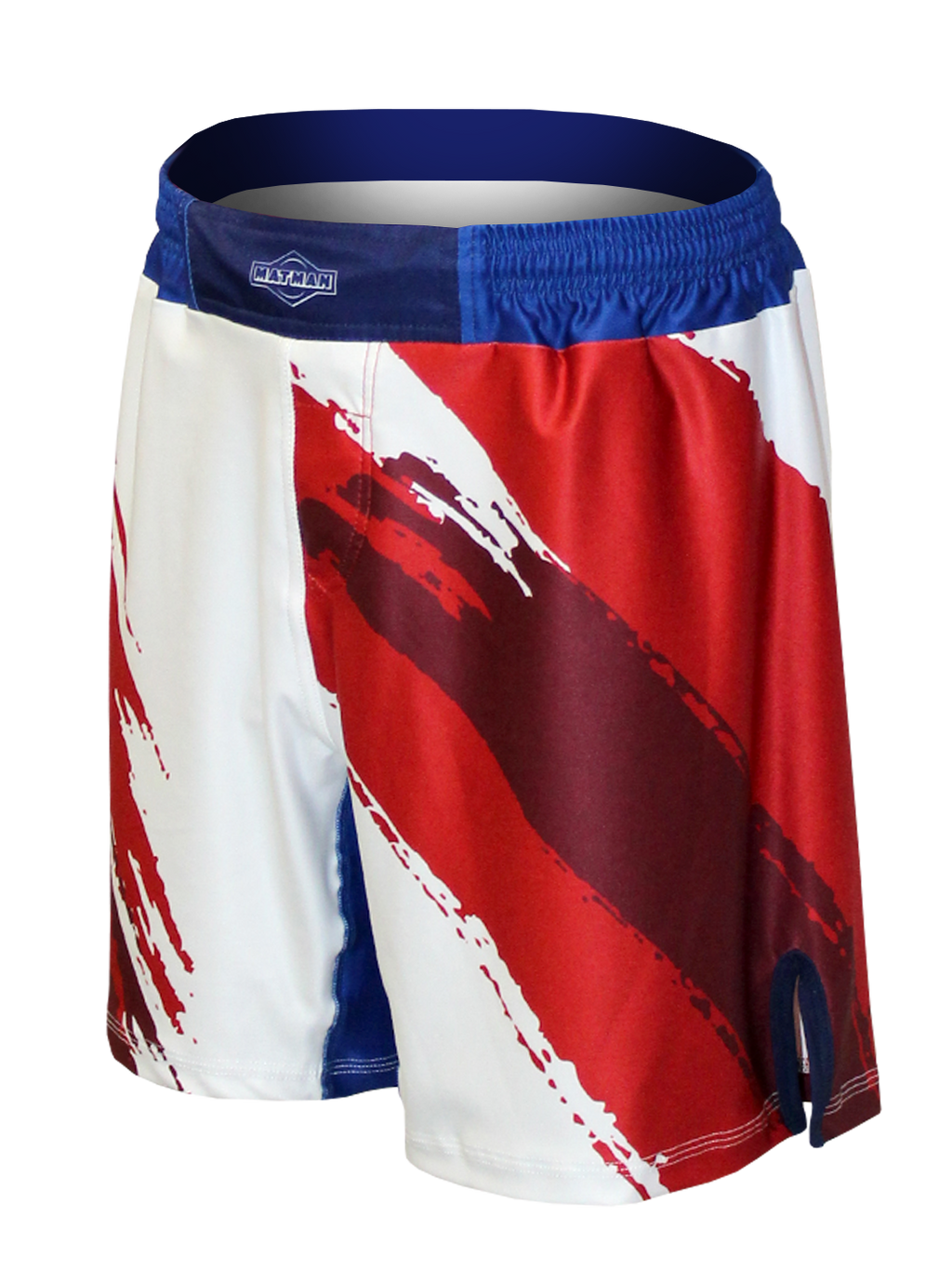 The U.S.A. Pledge Fight Shorts
